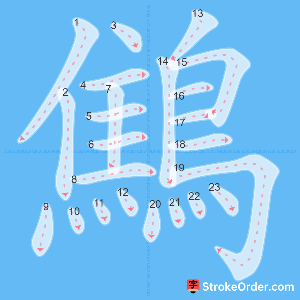 Standard stroke order for the Chinese character 鷦