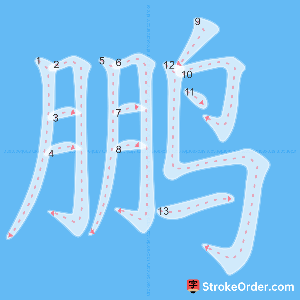 Standard stroke order for the Chinese character 鹏