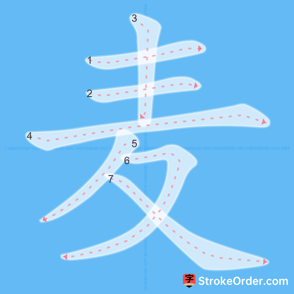 Standard stroke order for the Chinese character 麦