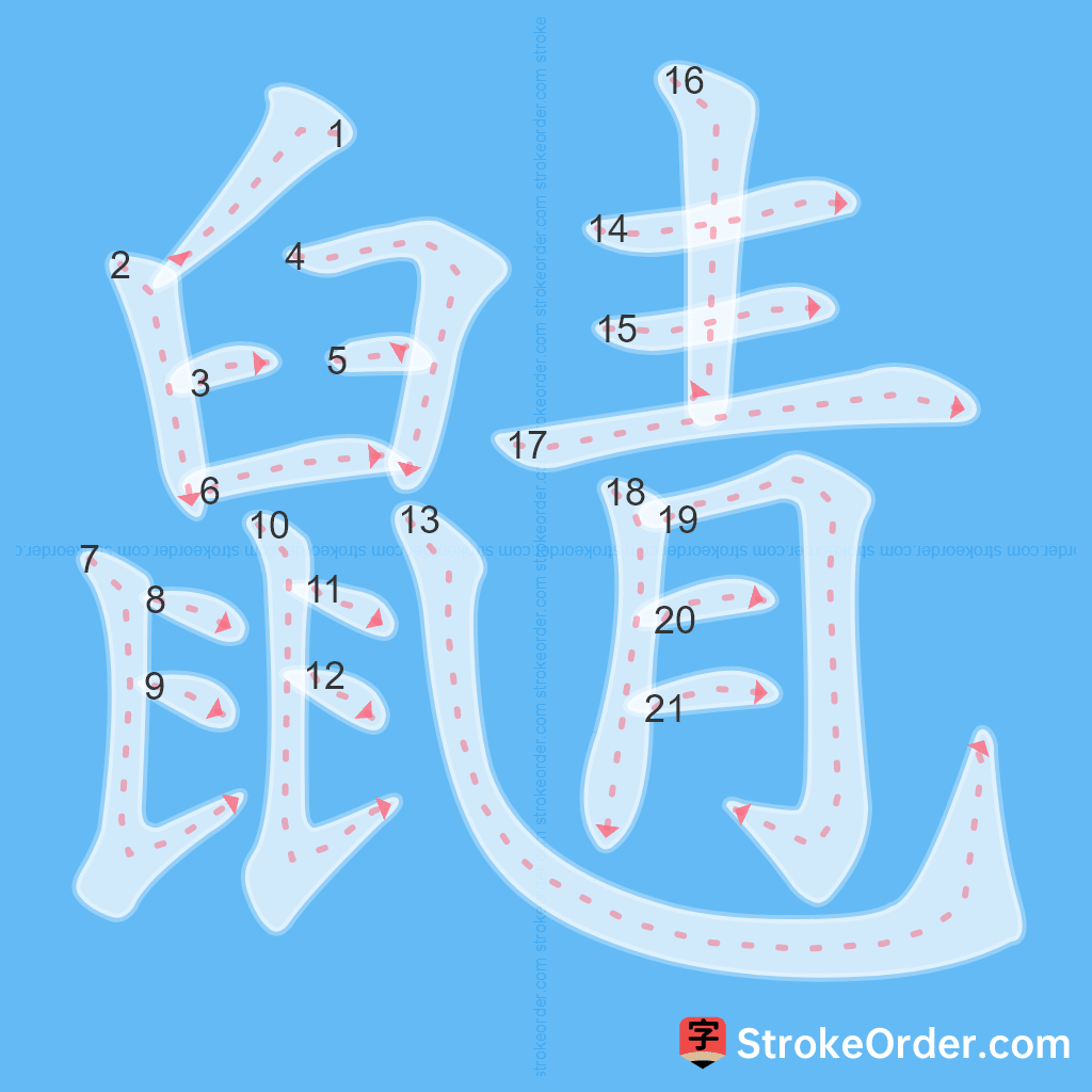 Standard stroke order for the Chinese character 鼱