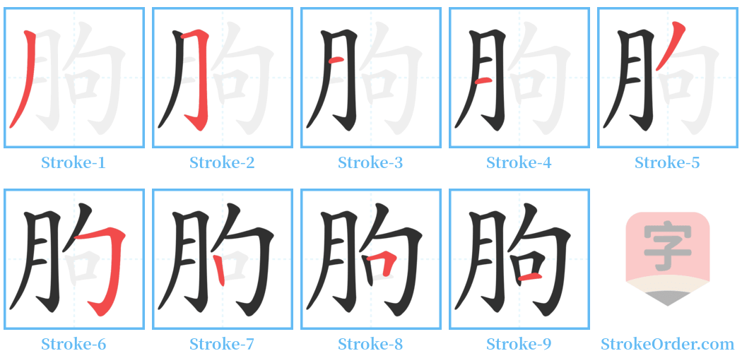 朐 Stroke Order Diagrams