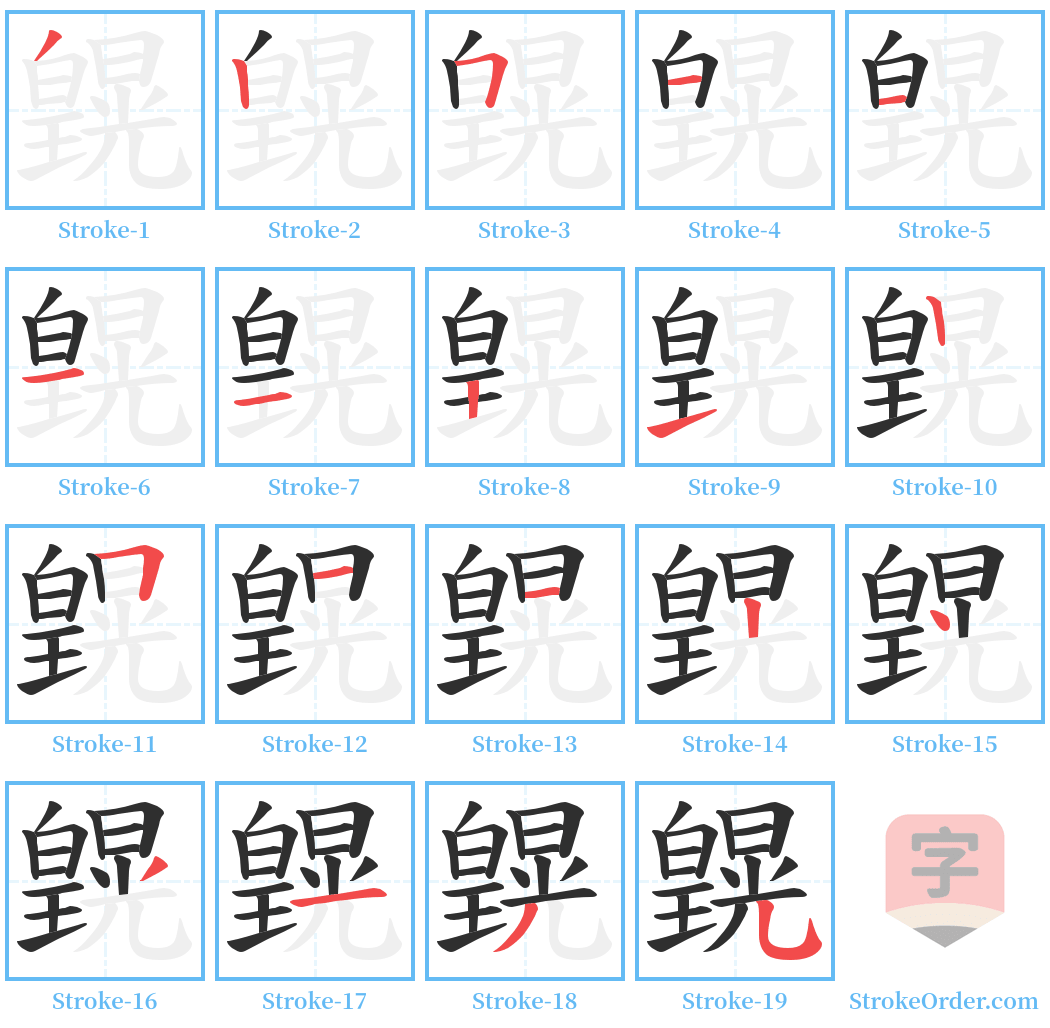 皩 Stroke Order Diagrams