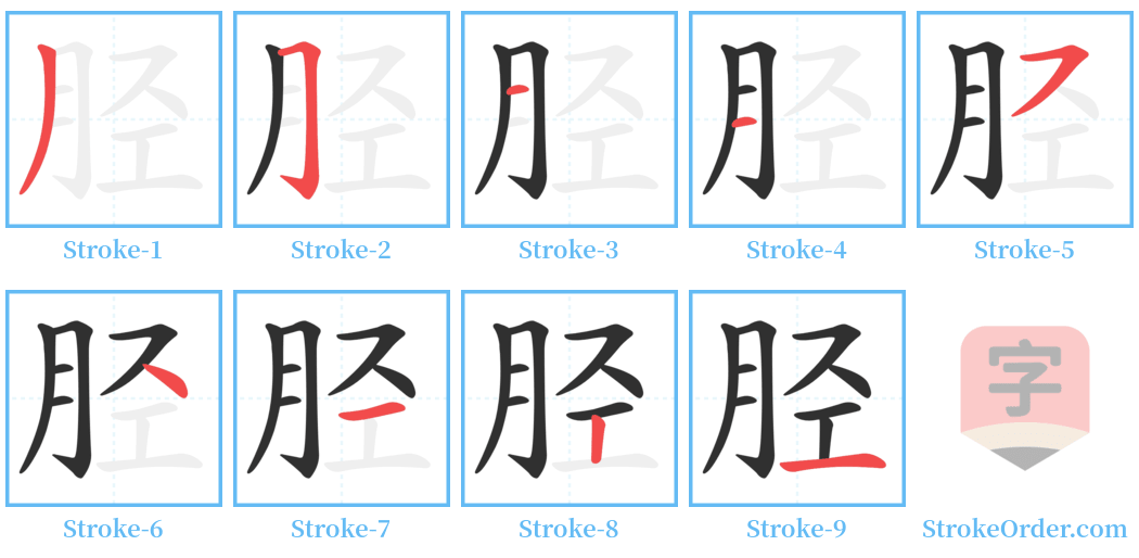 胫 Stroke Order Diagrams