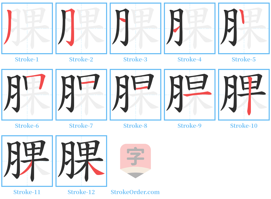 腂 Stroke Order Diagrams