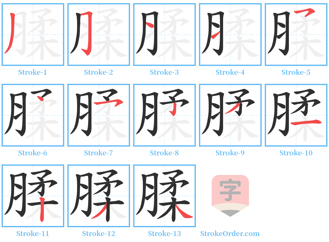 腬 Stroke Order Diagrams