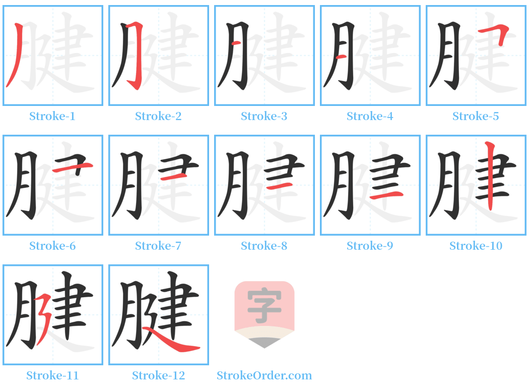 腱 Stroke Order Diagrams