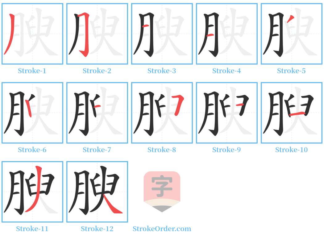 腴 Stroke Order Diagrams
