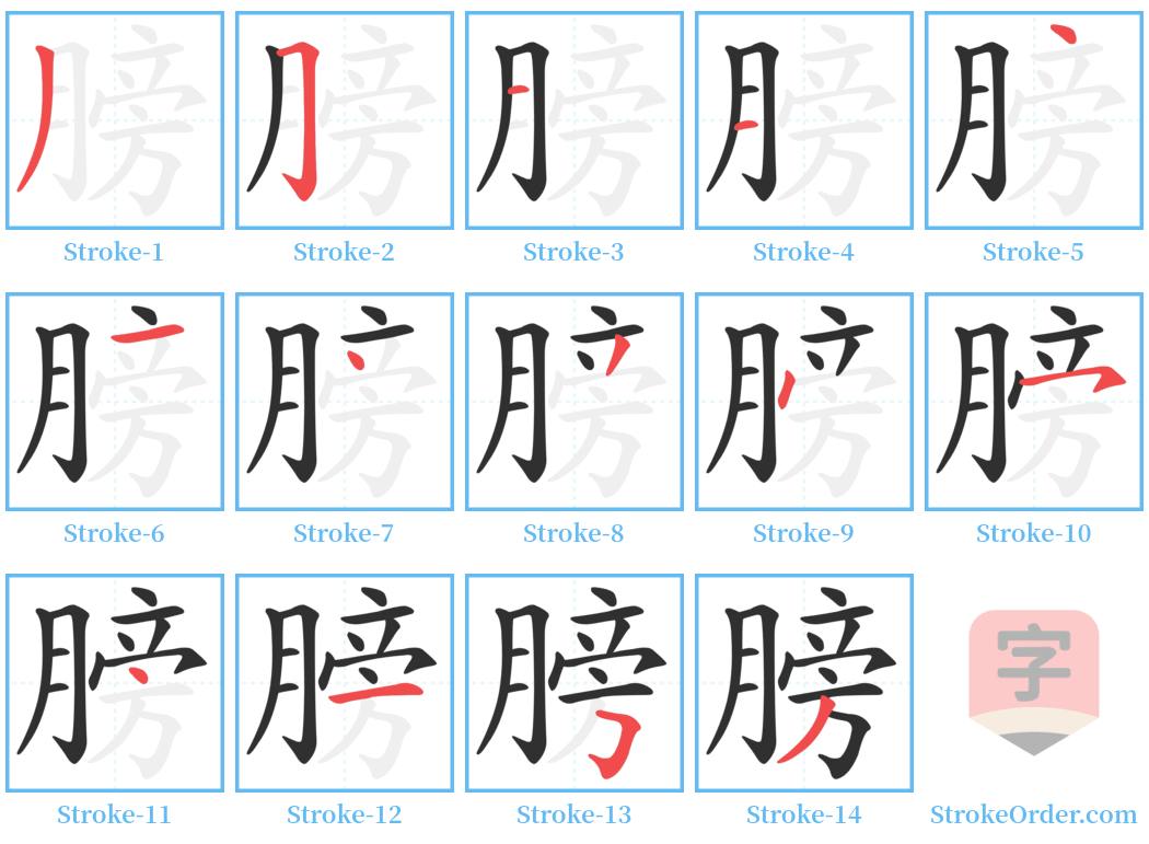 膀 Stroke Order Diagrams