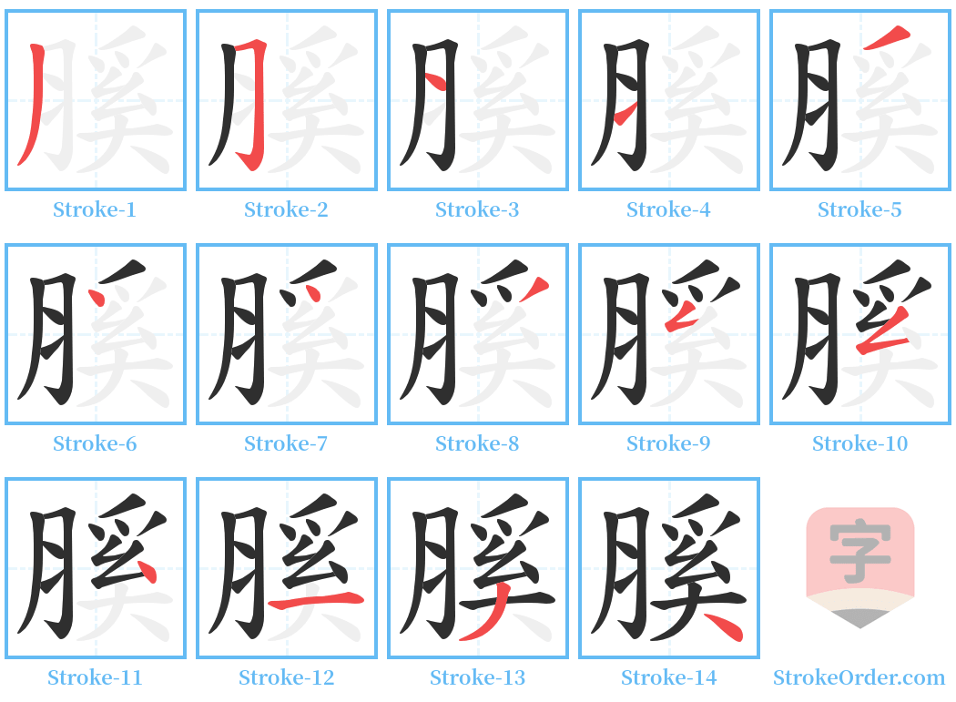 膎 Stroke Order Diagrams