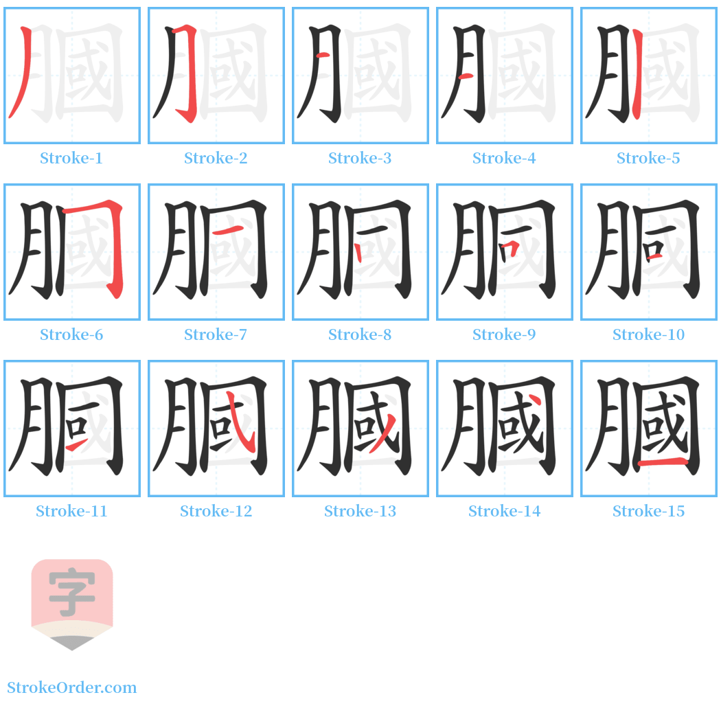 膕 Stroke Order Diagrams