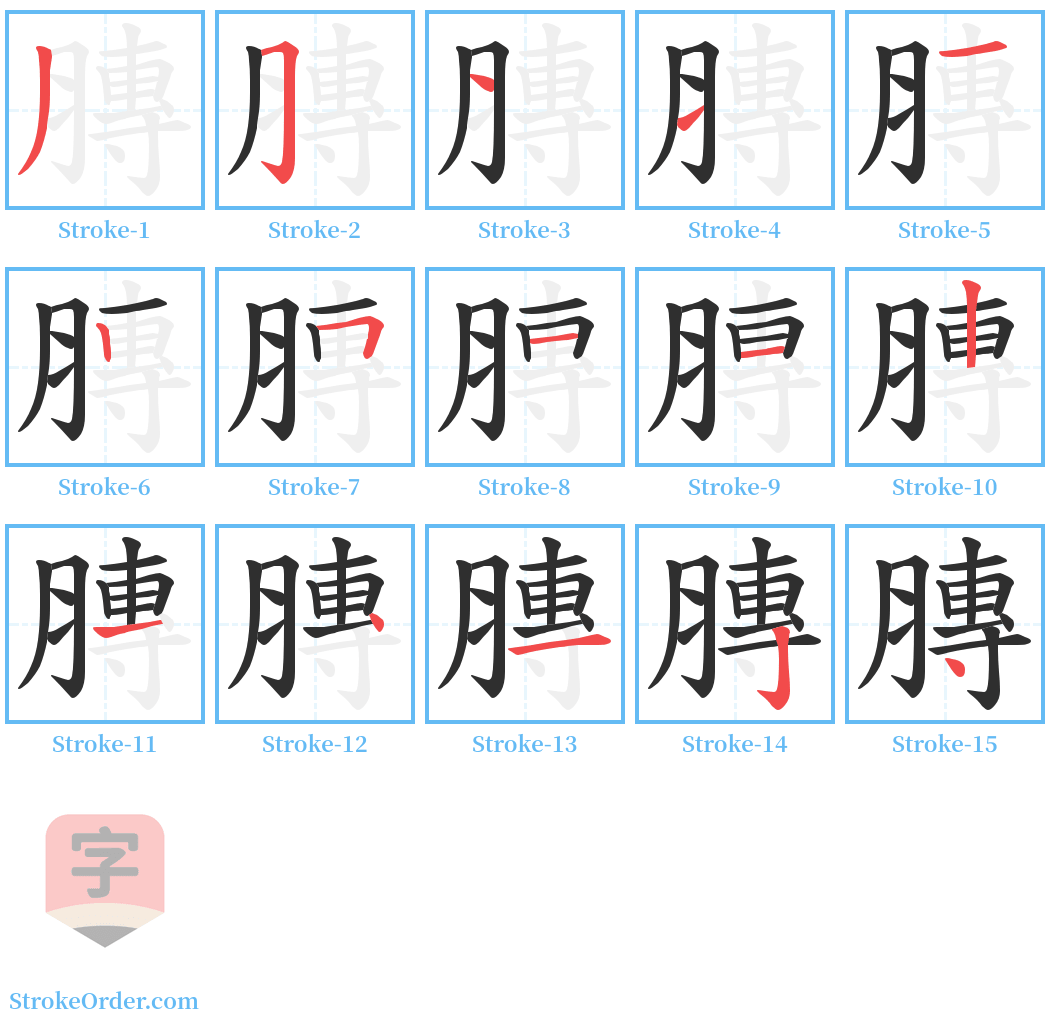 膞 Stroke Order Diagrams