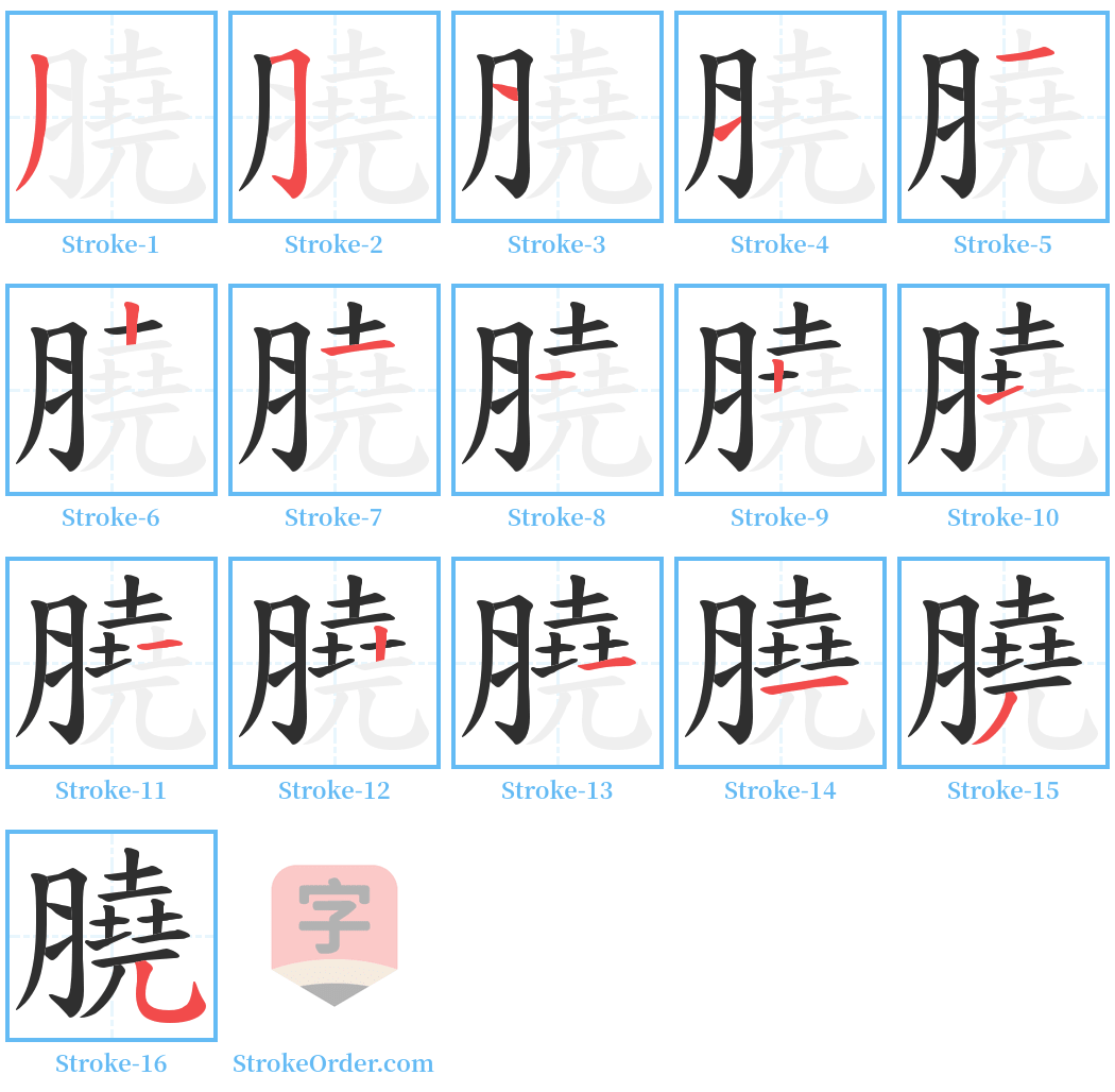 膮 Stroke Order Diagrams