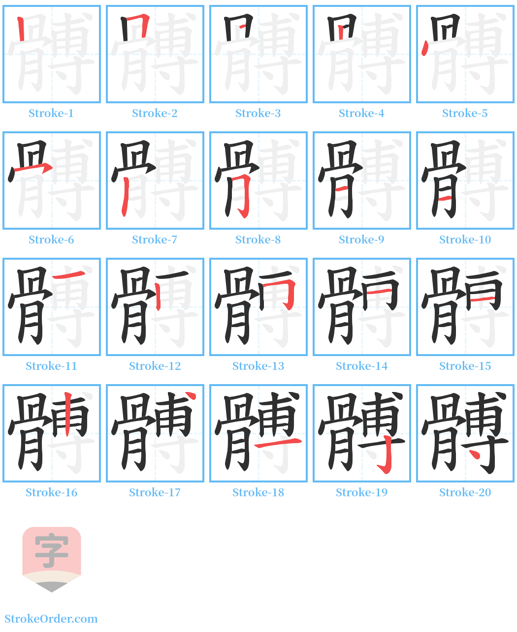 髆 Stroke Order Diagrams