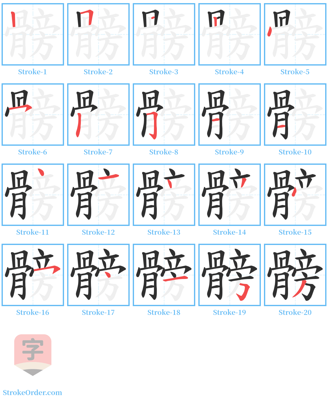 髈 Stroke Order Diagrams