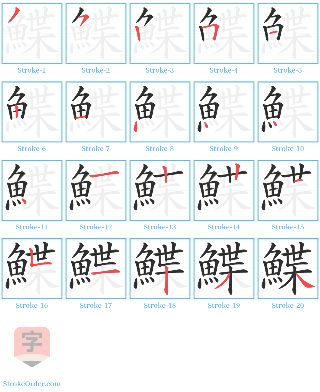 鰈 Stroke Order Diagrams
