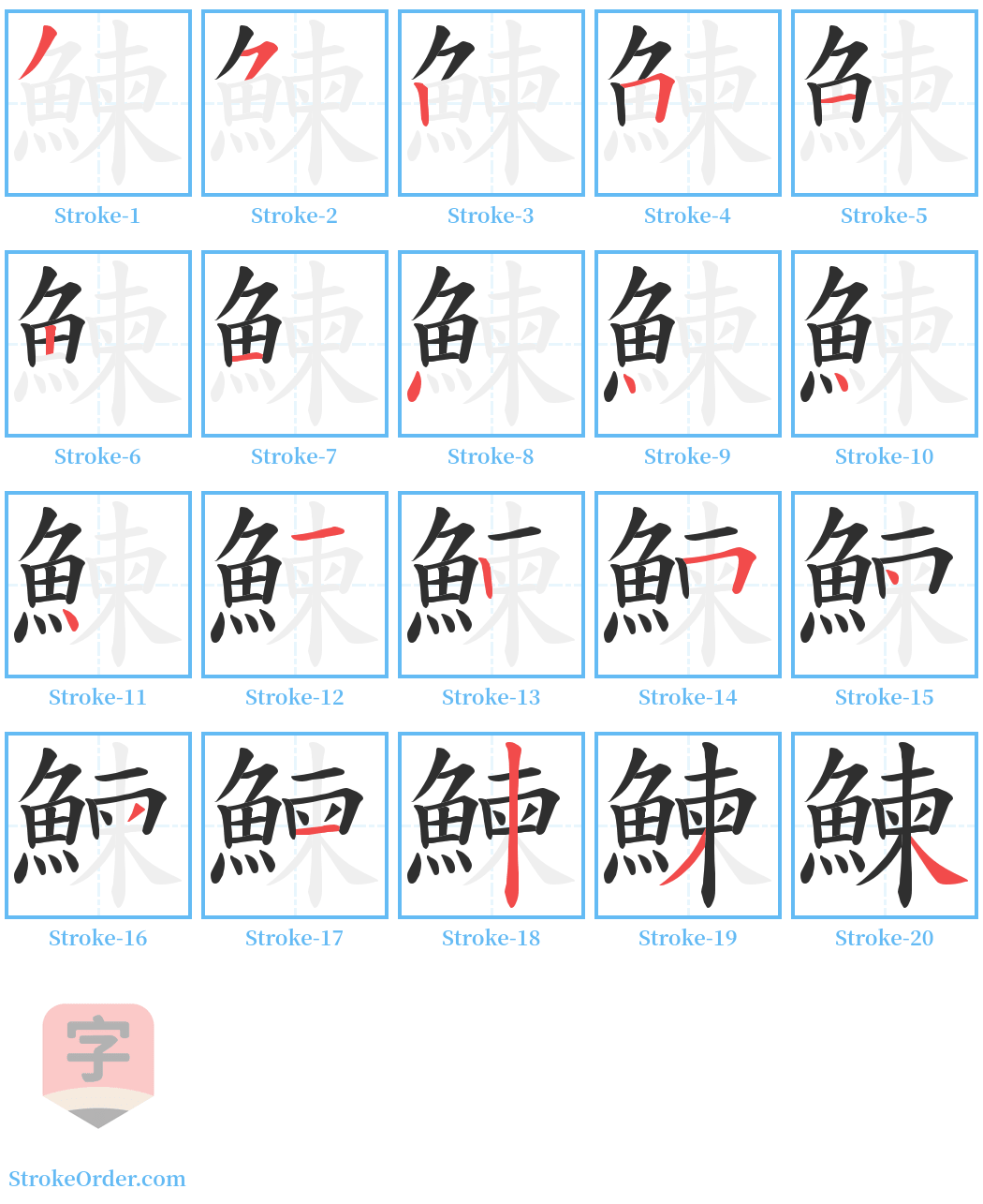 鰊 Stroke Order Diagrams