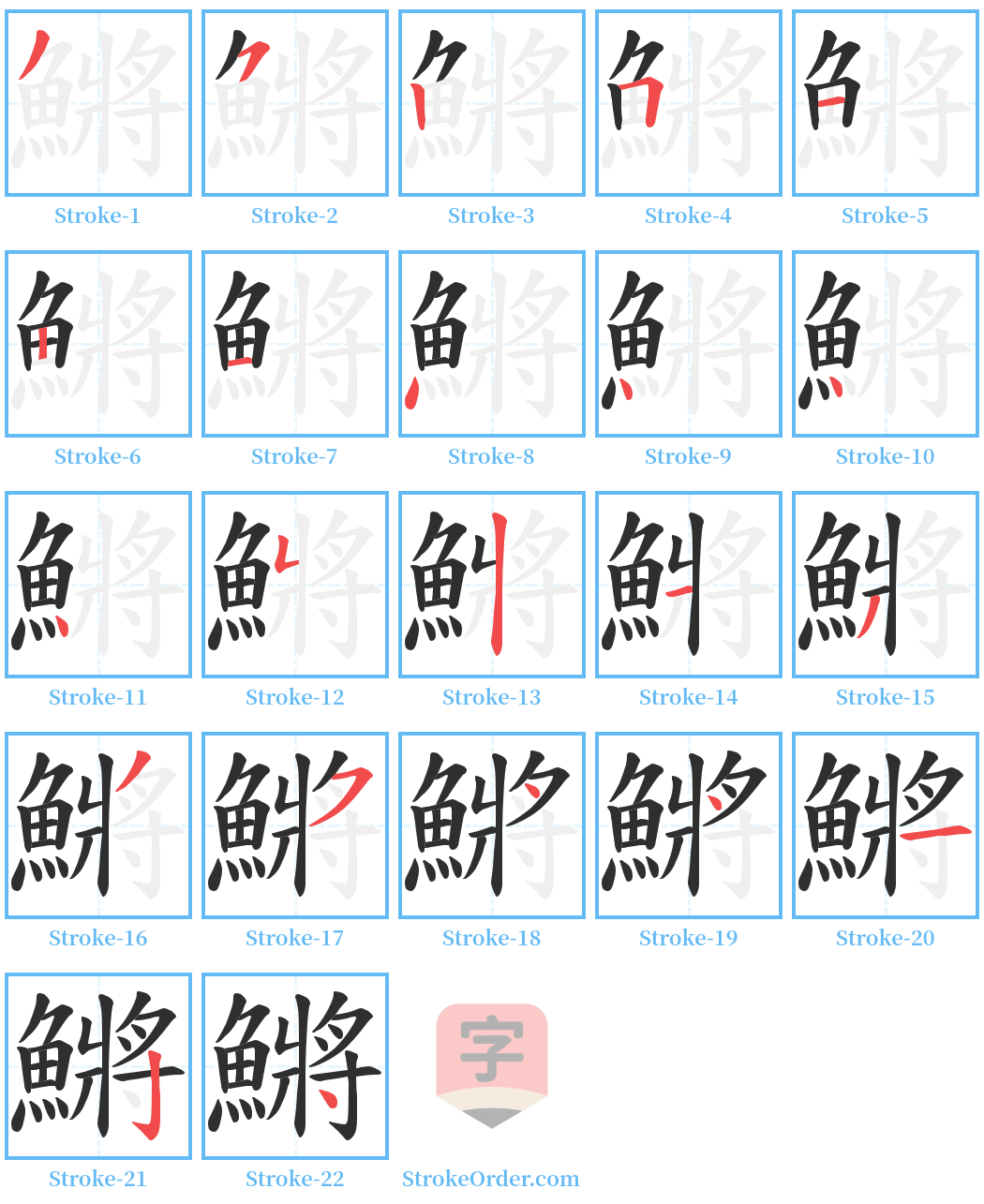 鱂 Stroke Order Diagrams