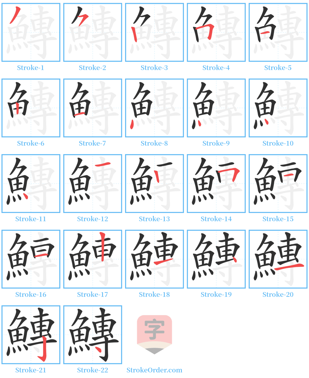 鱄 Stroke Order Diagrams